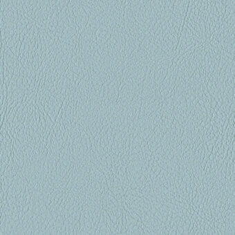 CORAL 107-2106
